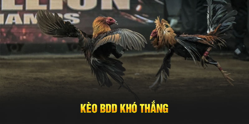 Kèo BDD khó thắng 