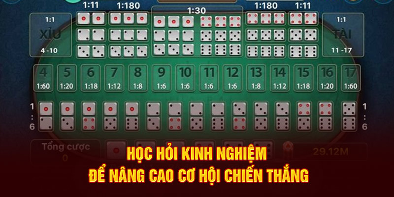 Học hỏi kinh nghiệm từ chuyên gia để tối ưu hoá cơ hội chiến thắng