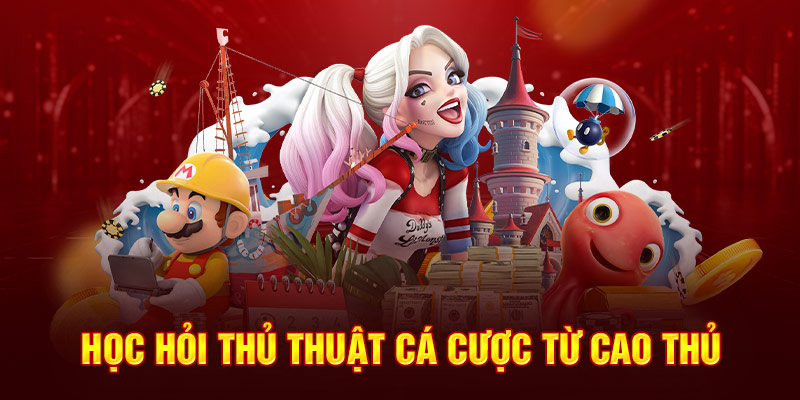 Học hỏi thủ thuật cá cược từ cao thủ