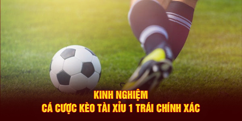 Kinh nghiệm cá cược chính xác 