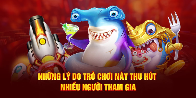 Những lý do trò chơi này thu hút nhiều người tham gia