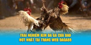 Đá gà cựa dao - hình thức chơi chiến kê mới